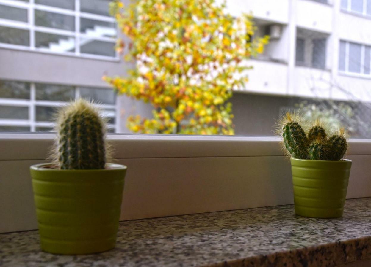 Apartments Dora Zágráb Kültér fotó